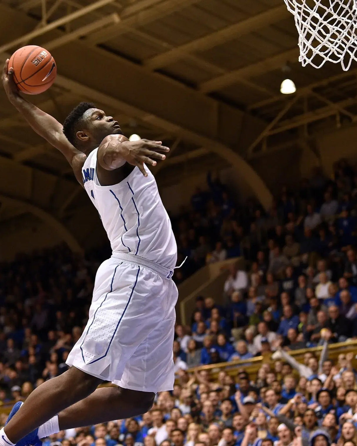 WILLIAMSON ZION (NOP)