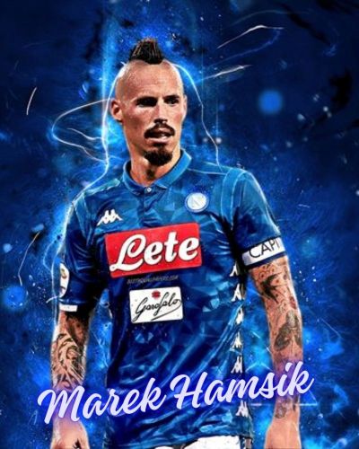 Hamsik Marek