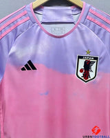 JAPAN CULTURE 2020-21 (Cloud)