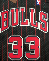 PIPPEN SCOTTIE (CHI)