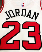 Jordan Michael (Chicago Bulls)