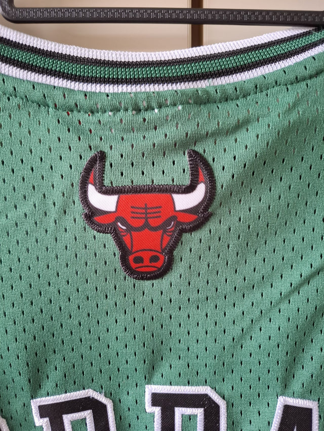 Jordan Michael (Chicago Bulls)