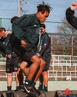 DAVIDS EDGAR 1994-95 (Aja)