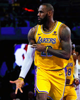 JAMES LEBRON (LAL)