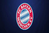 BAYERN MUNCHEN flags