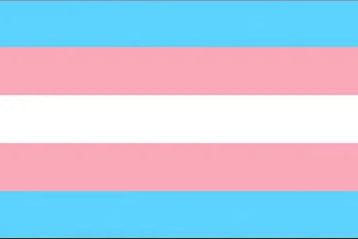 LGBTQ+ flags