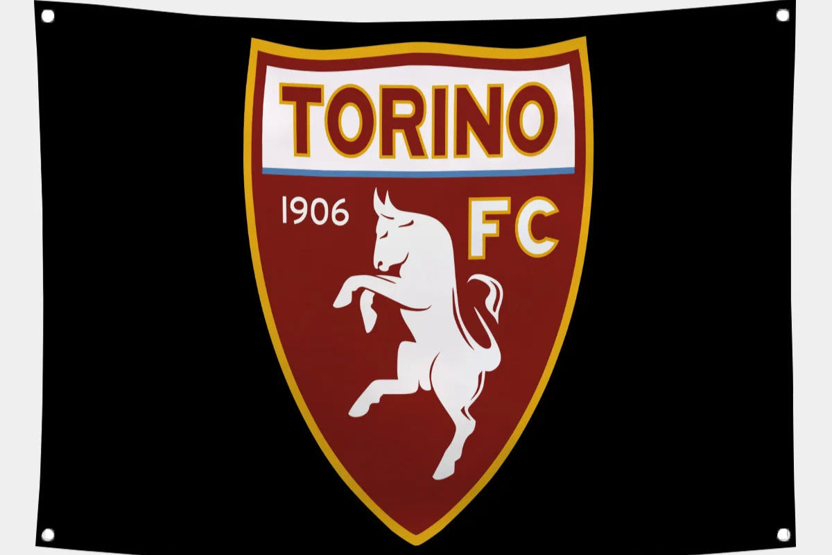 TORINO flags