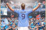HAALAND ERLING flags