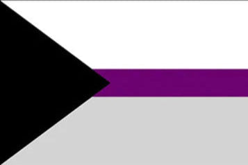 LGBTQ+ flags