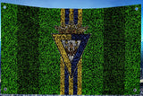 CADIZ CF flags