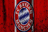 BAYERN MUNCHEN flags