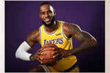 JAMES LEBRON flags