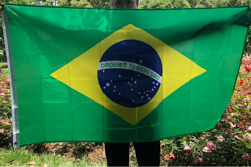 BRASIL flags