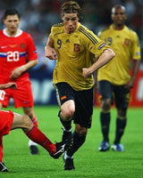 TORRES FERNANDO 2008-09 (Spa)