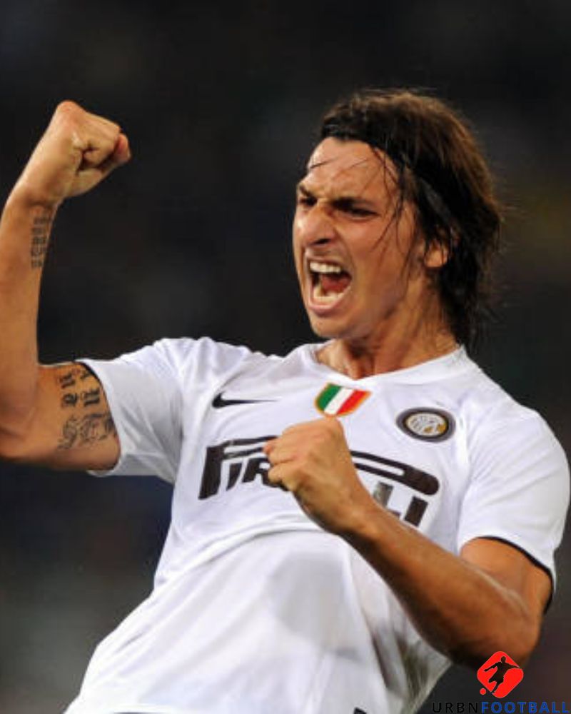 IBRAHIMOVIC ZLATAN 2008-09 (Int)